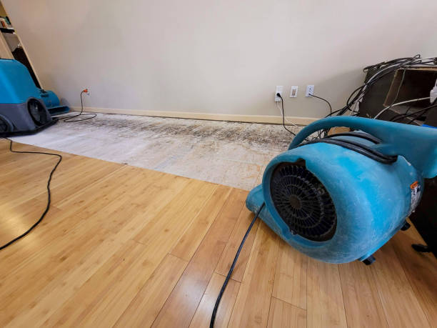 Professional Basement Flood Cleanup technician working in Irwin, SC